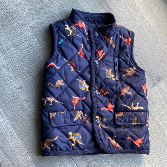next Other - Boys Dinosaur 🦕 Button Down Vest